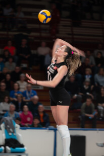 CEV, CEV Semi Final, CEV cup, Palaigor, Semi Final